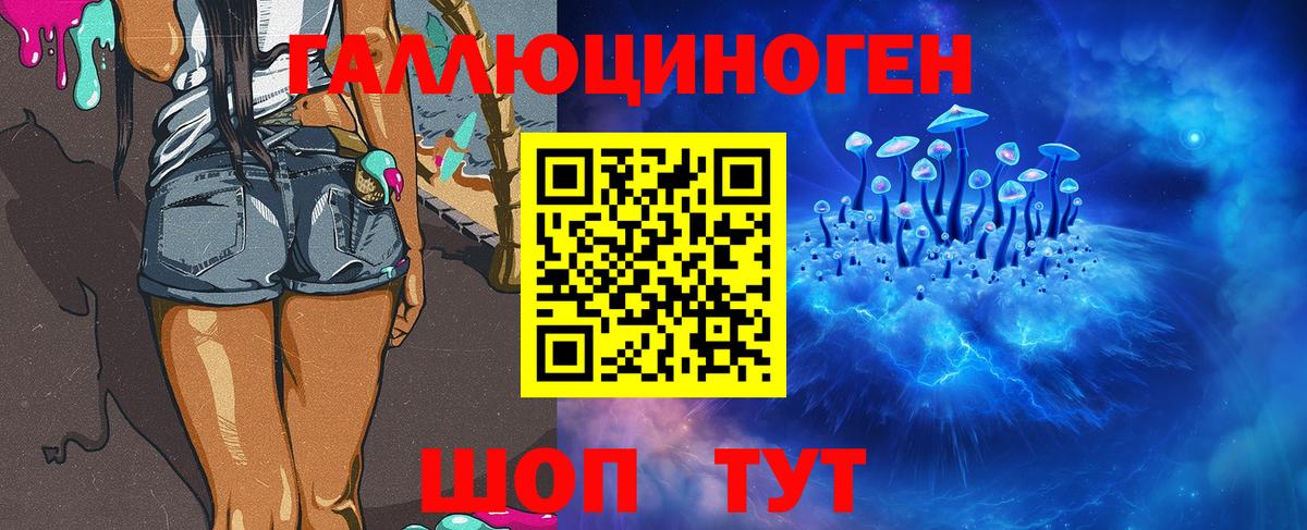 продажа наркотиков  Псилоцибиновые грибы MAGIC MUSHROOMS  Кисловодск  Вход с VPN  Галлюциногенные грибы прущие грибы 